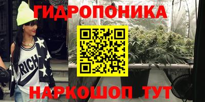 соль ск Кулебаки