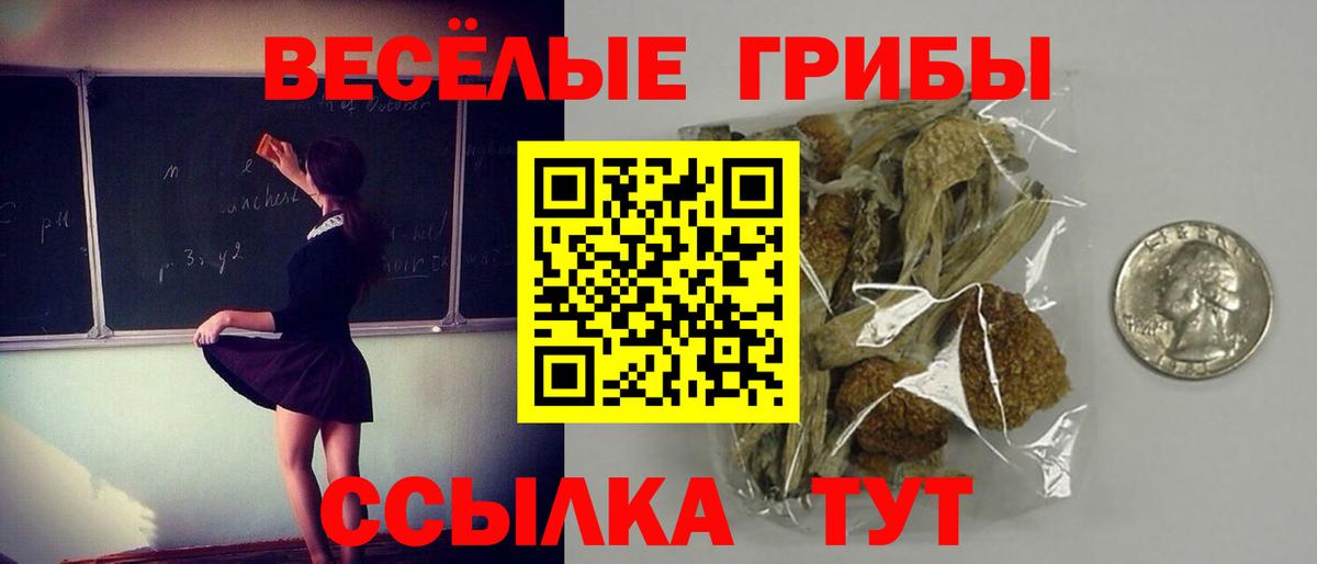 Псилоцибиновые грибы Psilocybine cubensis Еманжелинск